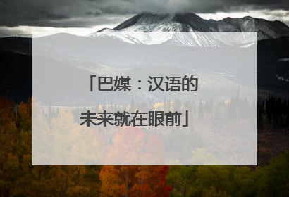 巴媒：汉语的未来就在眼前