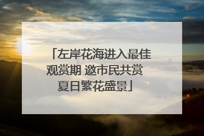 左岸花海进入最佳观赏期 邀市民共赏夏日繁花盛景