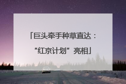 巨头牵手种草直达：“红京计划”亮相