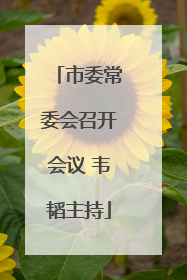 市委常委会召开会议 韦韬主持