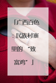 广西百色：民族村寨里的 “致富鸡”