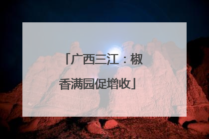广西三江：椒香满园促增收