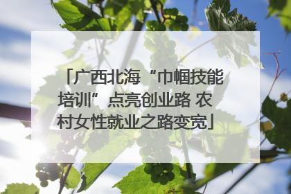 广西北海“巾帼技能培训”点亮创业路 农村女性就业之路变宽