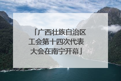 广西壮族自治区工会第十四次代表大会在南宁开幕