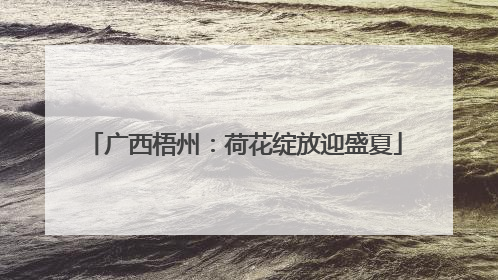 广西梧州：荷花绽放迎盛夏
