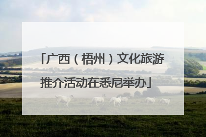 广西（梧州）文化旅游推介活动在悉尼举办