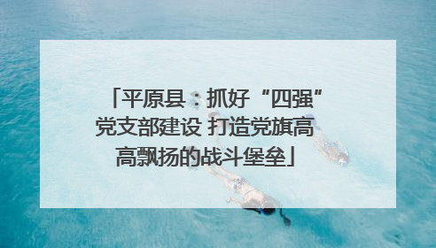 平原县：抓好“四强”党支部建设 打造党旗高高飘扬的战斗堡垒