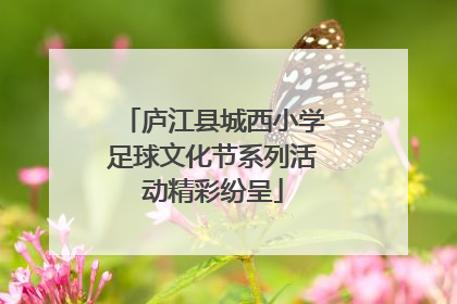 庐江县城西小学足球文化节系列活动精彩纷呈