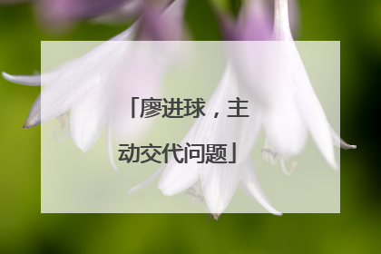 廖进球，主动交代问题