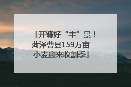 开镰好“丰”景！菏泽曹县159万亩小麦迎来收割季