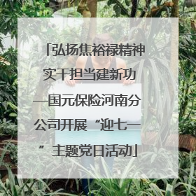 弘扬焦裕禄精神 实干担当建新功—国元保险河南分公司开展“迎七一”主题党日活动