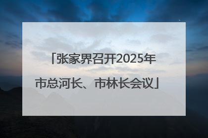 张家界召开2025年市总河长、市林长会议
