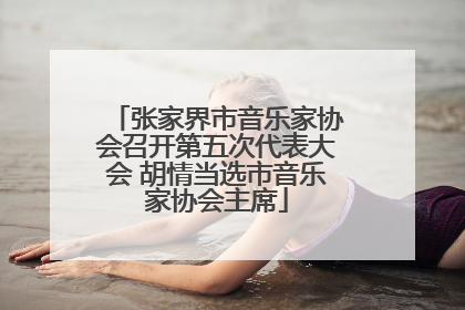 张家界市音乐家协会召开第五次代表大会 胡情当选市音乐家协会主席