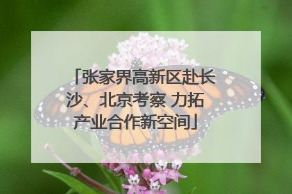 张家界高新区赴长沙、北京考察 力拓产业合作新空间