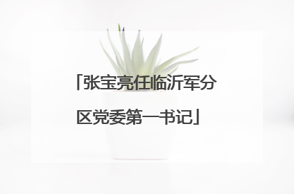 张宝亮任临沂军分区党委第一书记
