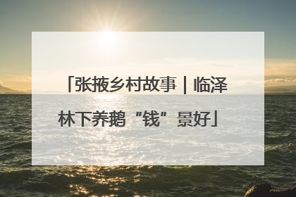 张掖乡村故事｜临泽林下养鹅“钱”景好