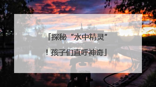 探秘“水中精灵”！孩子们直呼神奇