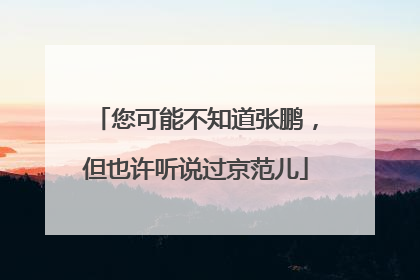 您可能不知道张鹏，但也许听说过京范儿