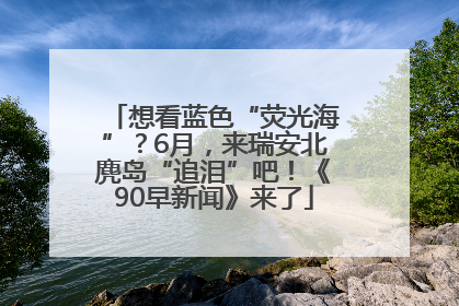 想看蓝色“荧光海”？6月，来瑞安北麂岛“追泪”吧！《90早新闻》来了