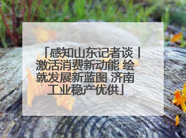 感知山东记者谈丨激活消费新动能 绘就发展新蓝图 济南工业稳产优供