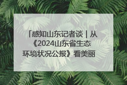 感知山东记者谈｜从《2024山东省生态环境状况公报》看美丽山东建设的“成绩单”与“任务书”