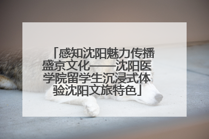 感知沈阳魅力传播盛京文化——沈阳医学院留学生沉浸式体验沈阳文旅特色