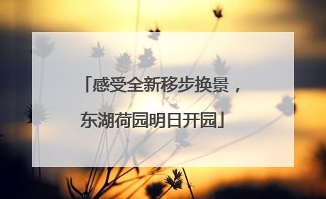 感受全新移步换景，东湖荷园明日开园