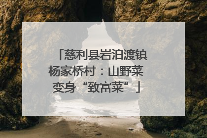慈利县岩泊渡镇杨家桥村：山野菜变身“致富菜”
