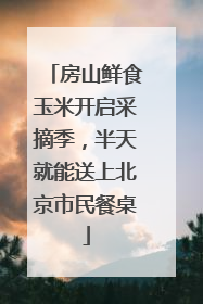 房山鲜食玉米开启采摘季，半天就能送上北京市民餐桌