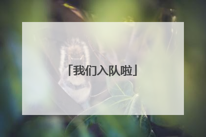 我们入队啦