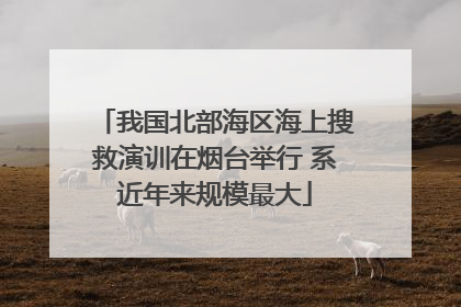 我国北部海区海上搜救演训在烟台举行 系近年来规模最大