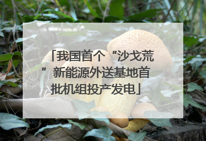 我国首个“沙戈荒”新能源外送基地首批机组投产发电