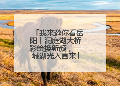 我来邀你看岳阳丨洞庭湖大桥彩绘换新颜，一城湖光入画来