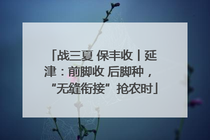 战三夏 保丰收丨延津：前脚收 后脚种，“无缝衔接”抢农时