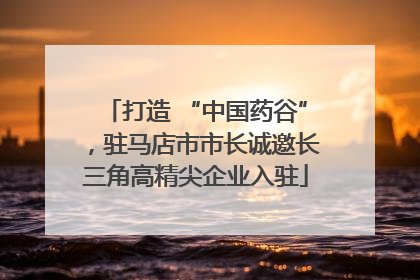 打造 “中国药谷”，驻马店市市长诚邀长三角高精尖企业入驻