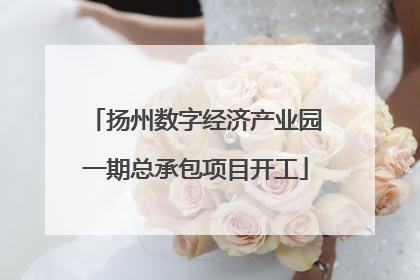 扬州数字经济产业园一期总承包项目开工