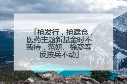抢发行，抢建仓，医药主题新基金时不我待，范妍、徐彦等反按兵不动