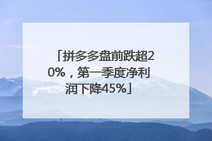 拼多多盘前跌超20%，第一季度净利润下降45%
