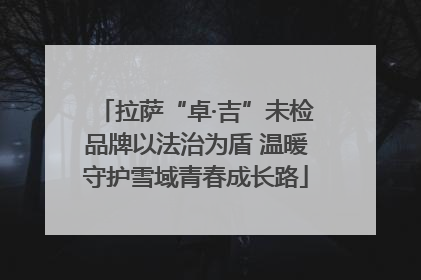 拉萨“卓·吉”未检品牌以法治为盾 温暖守护雪域青春成长路