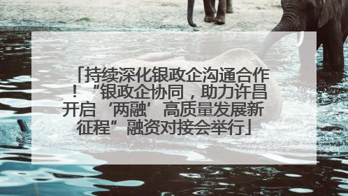 持续深化银政企沟通合作！“银政企协同，助力许昌开启‘两融’高质量发展新征程”融资对接会举行