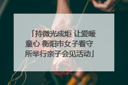 持微光成炬 让爱暖童心 衡阳市女子看守所举行亲子会见活动