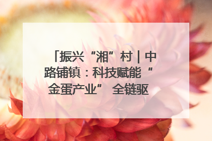 振兴“湘”村｜中路铺镇：科技赋能“金蛋产业” 全链驱动乡村振兴