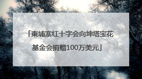 柬埔寨红十字会向坤塔宝花基金会捐赠100万美元