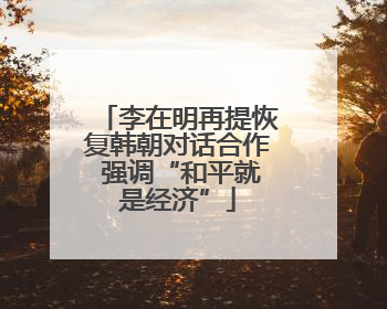 李在明再提恢复韩朝对话合作 强调“和平就是经济”
