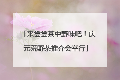 来尝尝茶中野味吧！庆元荒野茶推介会举行