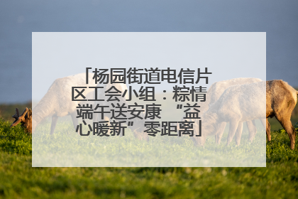 杨园街道电信片区工会小组：粽情端午送安康 “益心暖新”零距离