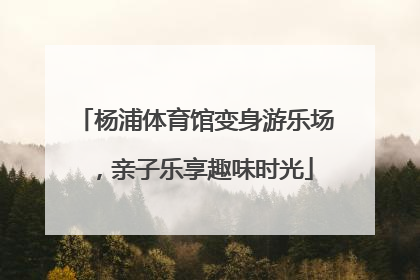 杨浦体育馆变身游乐场，亲子乐享趣味时光