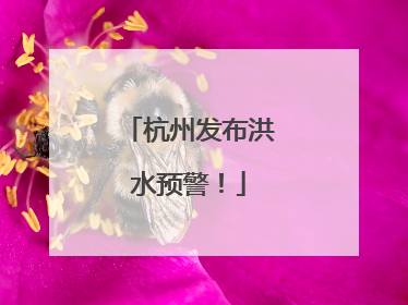 杭州发布洪水预警！
