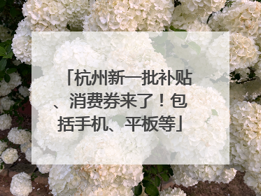 杭州新一批补贴、消费券来了！包括手机、平板等