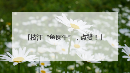 枝江“鱼医生”，点赞！